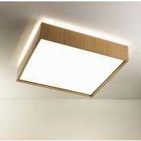 QUADRAT C