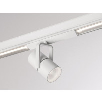 One Raw 2Go System Light Inserts