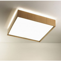 QUADRAT C